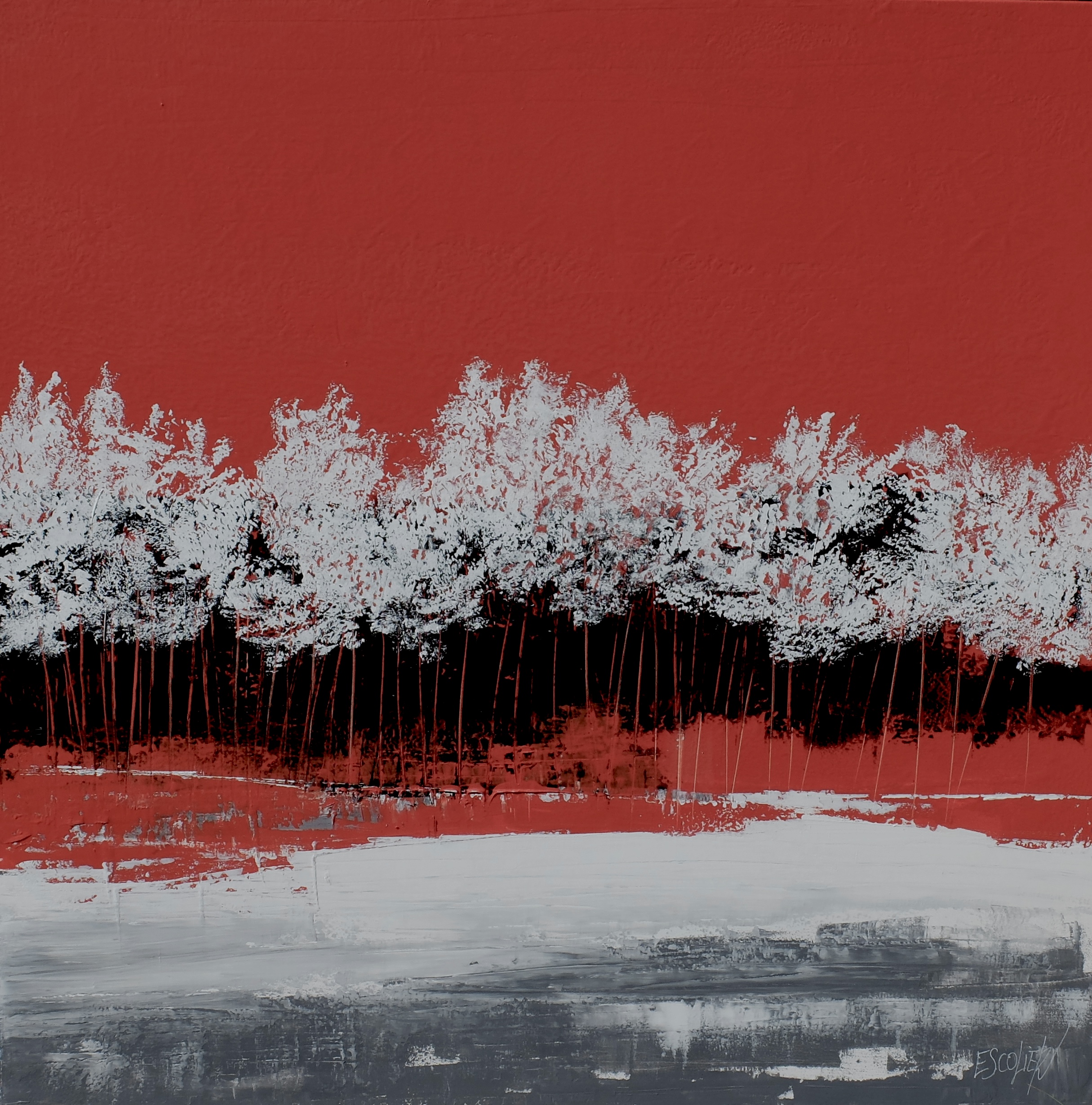 Parmi les arbres, la lumière